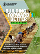 FAO Building Forward Better