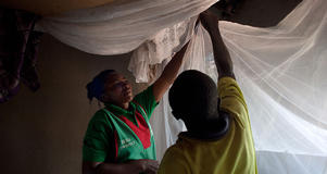 Anti-malaria bednets