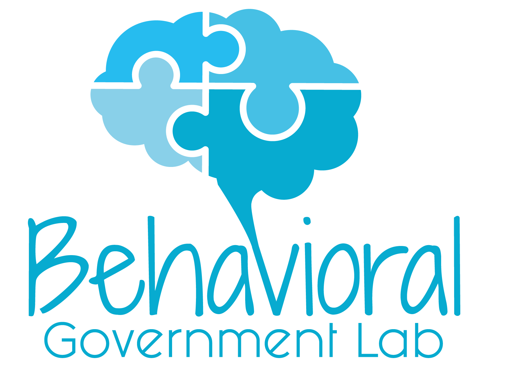 Behavioral Government Lab