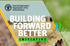 FAO Building Forward Better