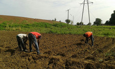 Testing Agricultural Technologies Testing Agricultural Technologies