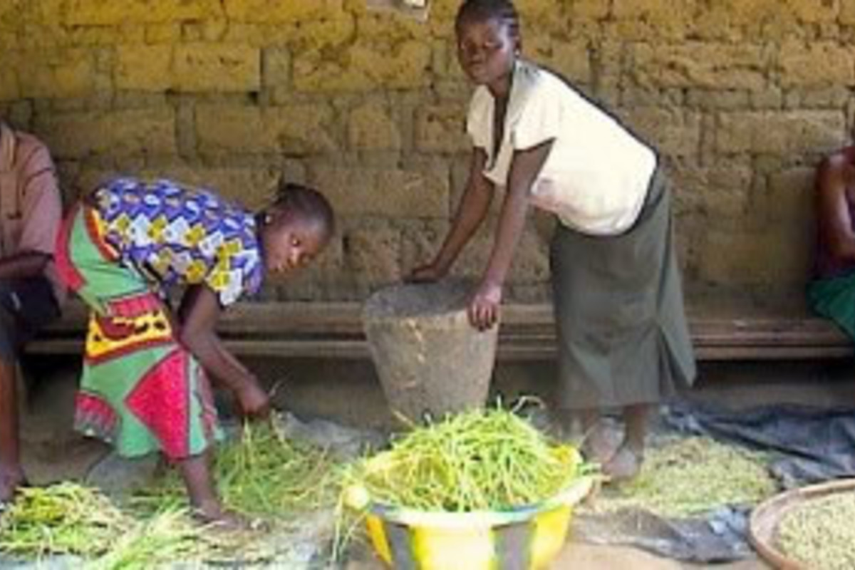 The SocioEconomic Impacts of Ebola on Households in Sierra Leone