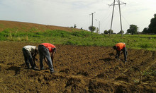 Testing Agricultural Technologies Testing Agricultural Technologies
