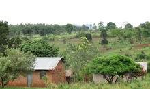 Uganda land