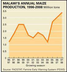 malawi_maize.jpg malawi_maize.jpg