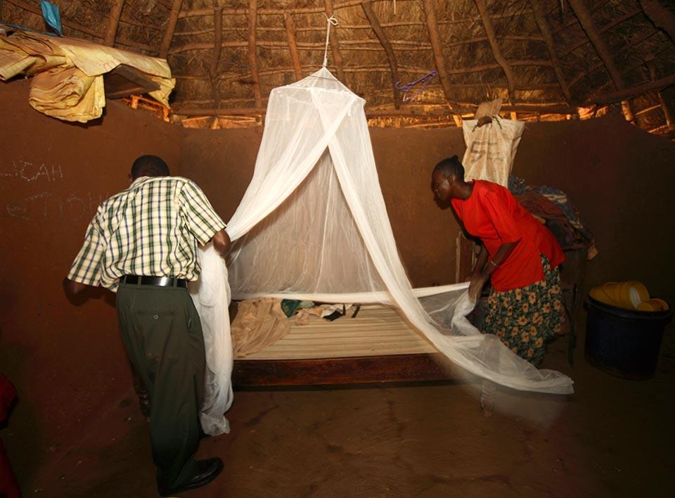 malaria-bednet.jpg malaria-bednet.jpg
